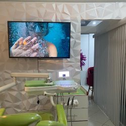 Salud Dental