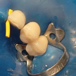 Salud Y Estética Oral