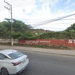Sánchez Murguía Palmira Hayde