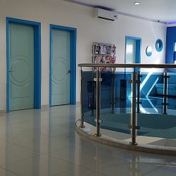 Sani Dental Group Platinum