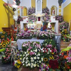 Santa Ana Ahuehuepan