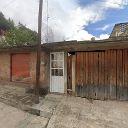 Servicios Ortopedicos Inteligentes
