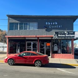 Shark Dental