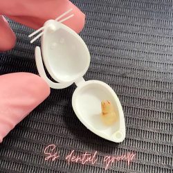 Ss Dental Group