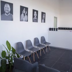 Ss Dental Sayula