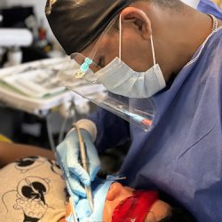 Stardent Odontología Integral