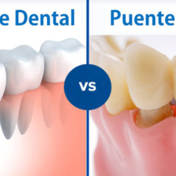 Studio & Spa Dental Mend