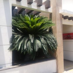 Talamantes Áviles Eduardo