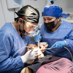 Tijuana Dentist Olive Dental Solution