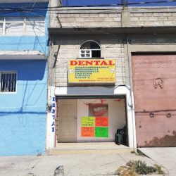 Tu Dentista San Jose De Los Leones