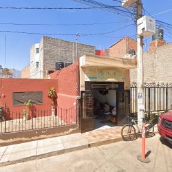 Umd Unidad Médica Y Dental
