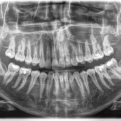 Unidad De Servicios Odontológicos