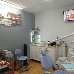 Unidad Odontologica Jesus Maria Especialista En Ortodoncia