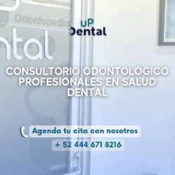 Up Dental Pozos