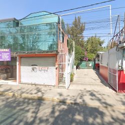 Vaciado Dental Eje 8