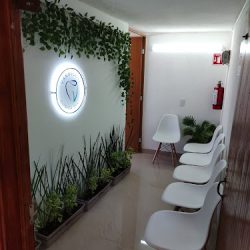 Vannedent Clinica Dental