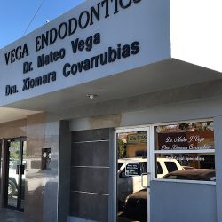 Vega’s Dental Solutions & Vegaendodontics