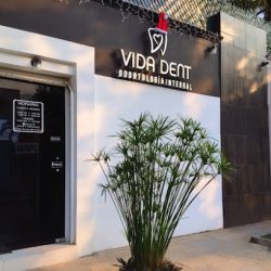 Vida Dent Odontologia Integral