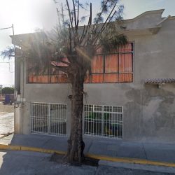 Vidadental Consultorio