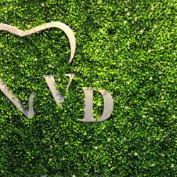 Villa Dental (cirugía Oral Y Periodoncia)