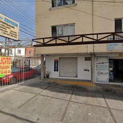 Vitalidad Dental