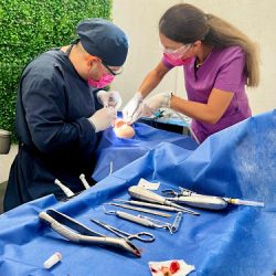 Vittaden Consultorio Dental