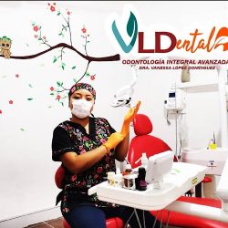 Vldental (dentista Tecpatan)